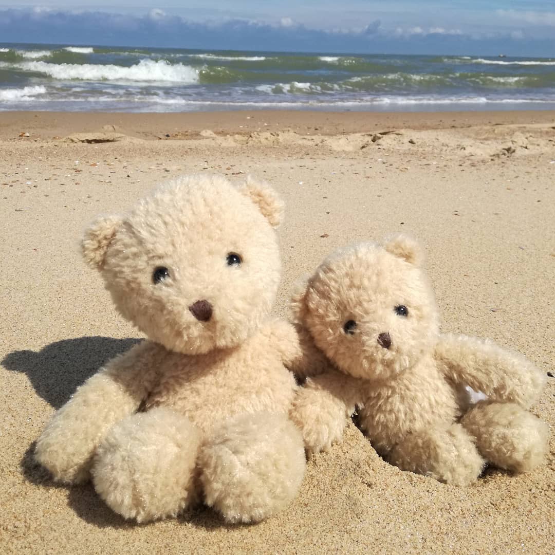 ぬいぐるみ クマのモリスL
