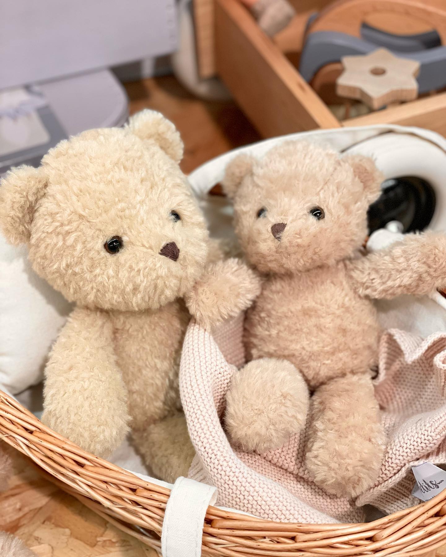 ぬいぐるみ クマのモリスL